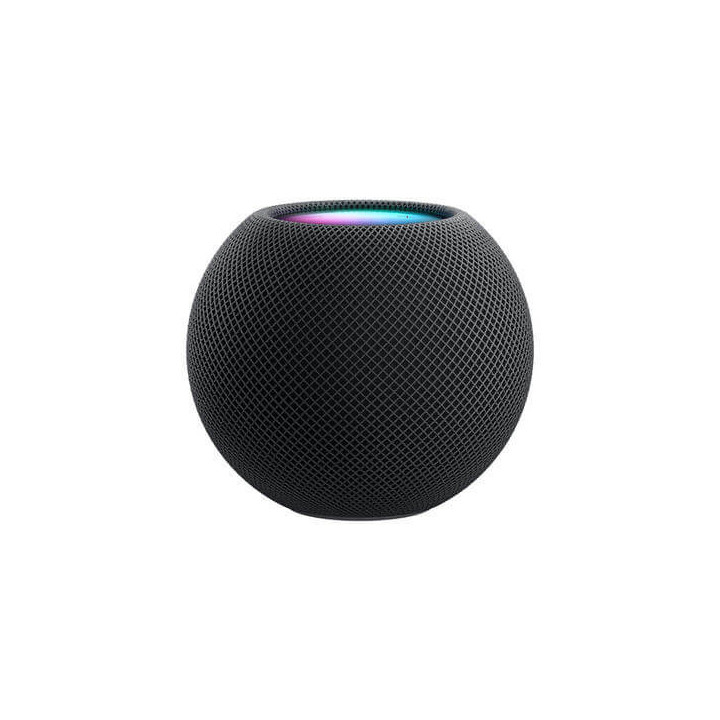 HomePod Mini Gris