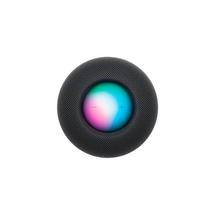 HomePod Mini Gris