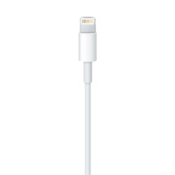 Cable Lightning USB (1m) - MacBook Accesorios - Apple