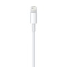 Cable Lightning USB (1m) - MacBook Accesorios - Apple