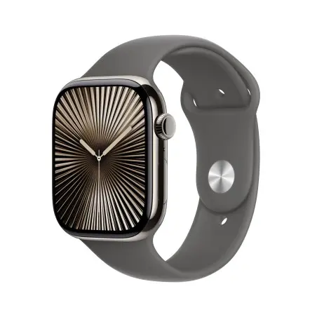 Apple Watch 10 Cellular 46mm Natural Titanium Case Stone Grey Sport M L