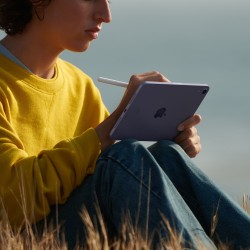 iPad Mini Wifi 256GB Rosa - iPad Mini - Apple