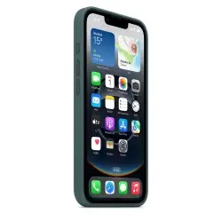 iPhone 16e Silicone Case – Lake Green