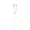 EarPods (USB-C)