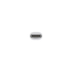 Adaptador Multipuerto USBC a AV Blanco - Apple Accesorios - Apple
