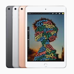 iPad mini Wi-Fi 256GB 5 Gen Gris - iPad Mini - Apple