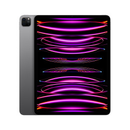 iPad Pro 12.9 Wifi 1TB Gris
