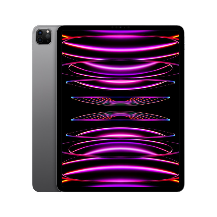 iPad Pro 12.9 Wifi 1TB Gris