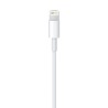 Apple Lightning - USB 2 m Blanco - iPhone Accesorios - Apple