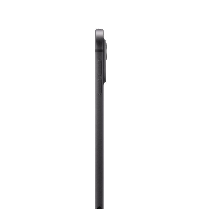 iPad Pro 11 M4 WiFi 256GB Negro